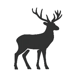 To Deer